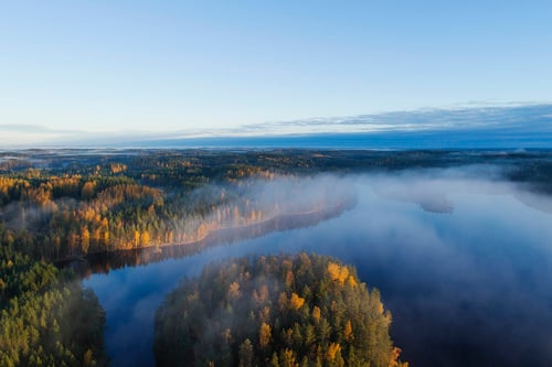 Sumuinen metsämaisena