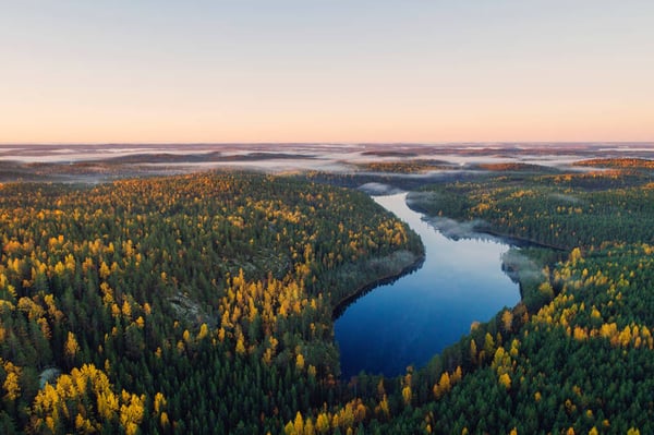 Työkalut vaikuttavan luontotyön aloittamiseen